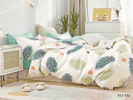 КПБ 2сп сатин в коробке (нав 50*70) Satin de Luxe SK Клео <813-SK>