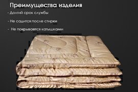 Одеяло верблюжья шерсть тик п/э Реноме