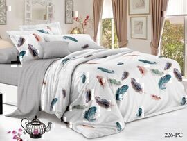 КПБ 1,5сп поплин Pure Cotton PC Клео <PC-226>