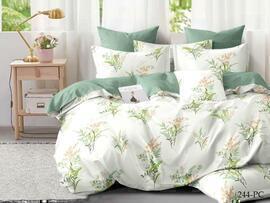 КПБ 2сп поплин Pure Cotton PC Клео <PC-244>