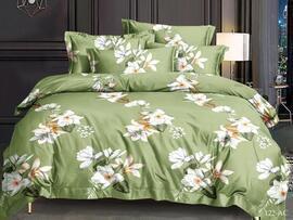 КПБ евро полисатин Art Color AC (нав. 50*70-2шт) Клео <AC-122>